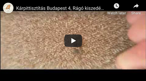 rágó kiszedése